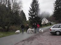 Begr&uuml;&szlig;ung